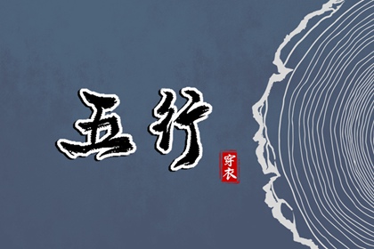 数字化五行参考用法